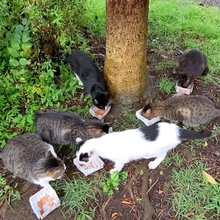 仲良く召し上がれ♪