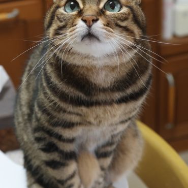 我が家の宝物