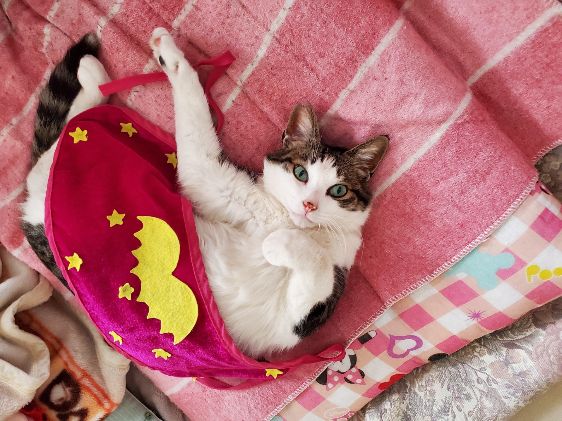 お目覚めペロちゃん。。