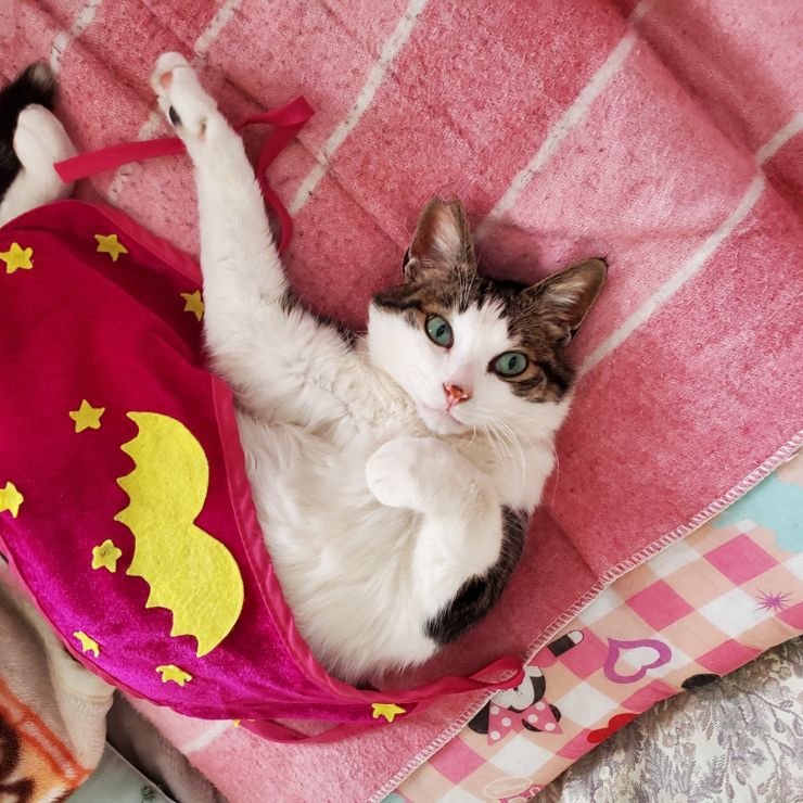 お目覚めペロちゃん。。