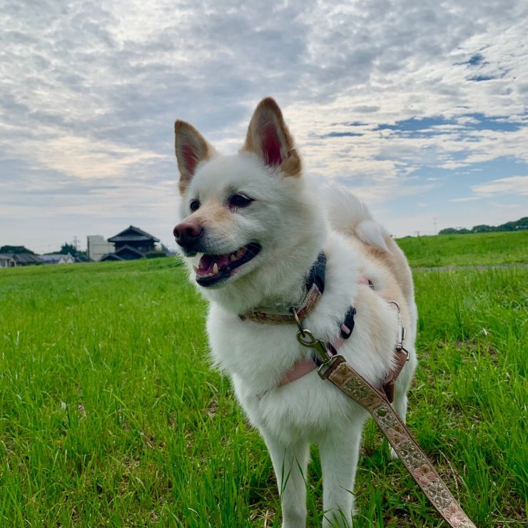 生き生きのびのび