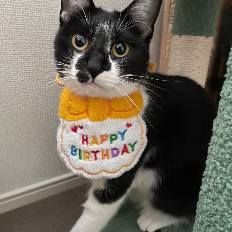 Happy Second Birthday!