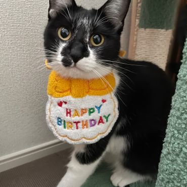 Happy Second Birthday!