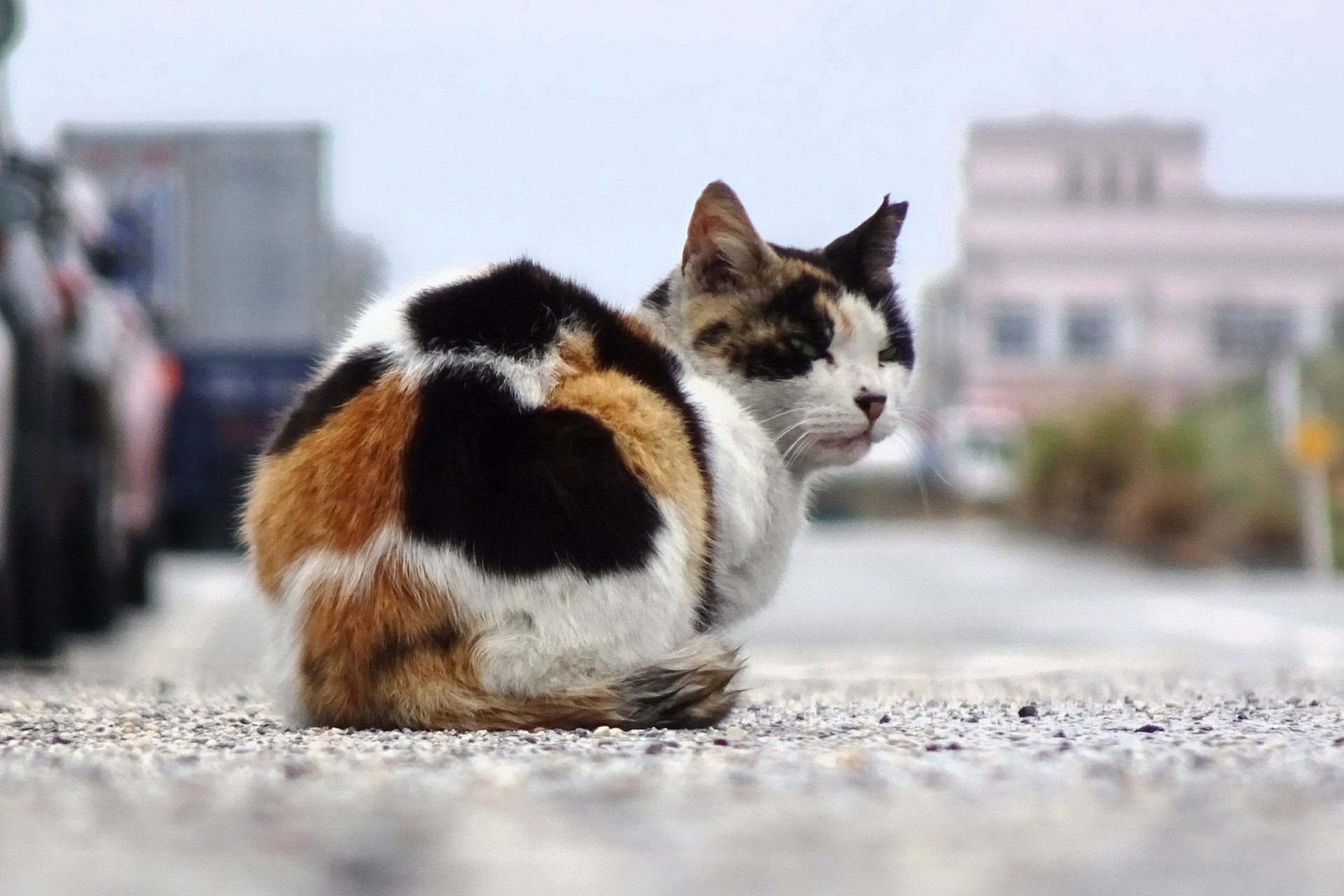 待ちわびて