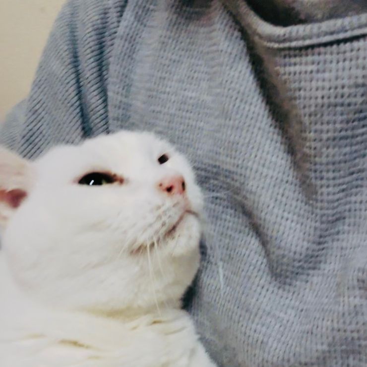 待たせてごめんね