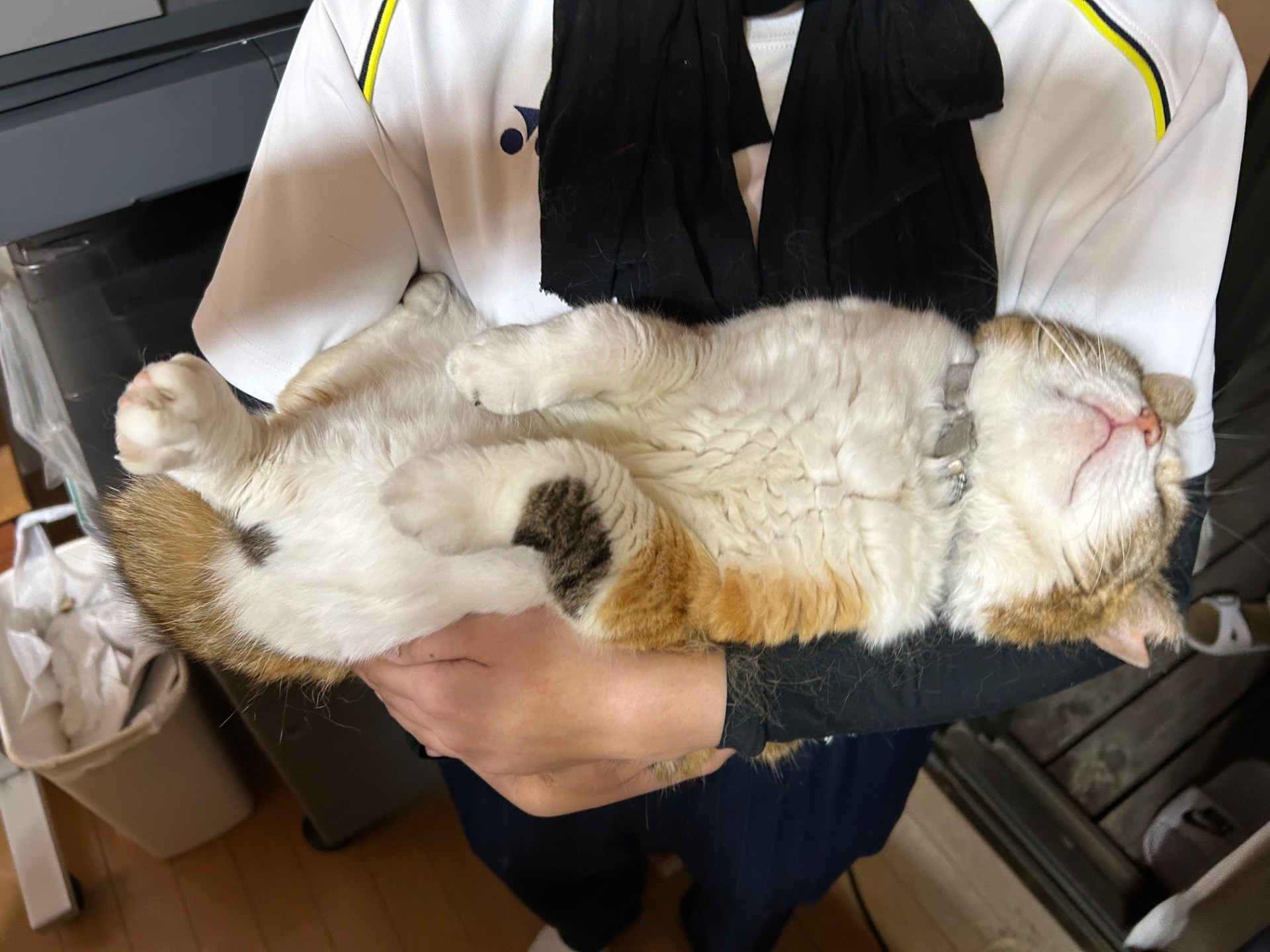 生まれて初めて抱っこして〜