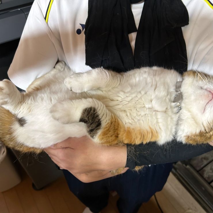 生まれて初めて抱っこして〜