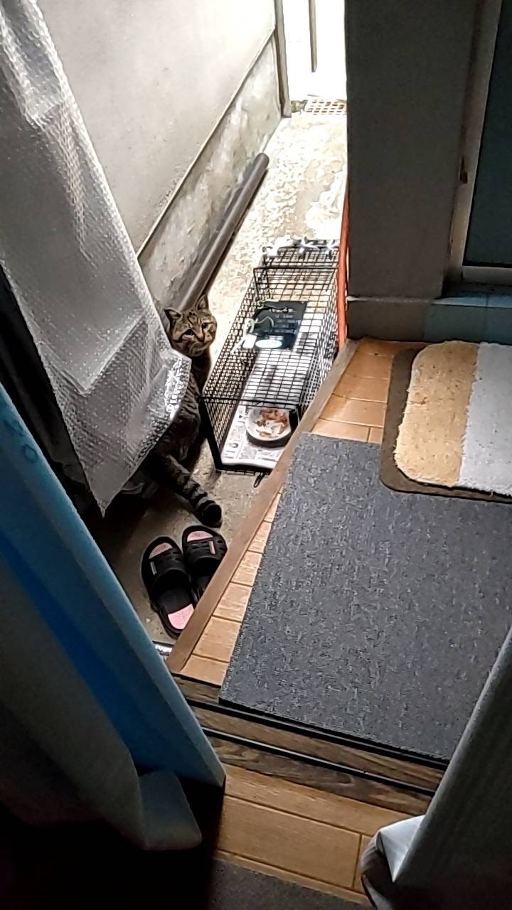 僕、入るほうがいいかな？