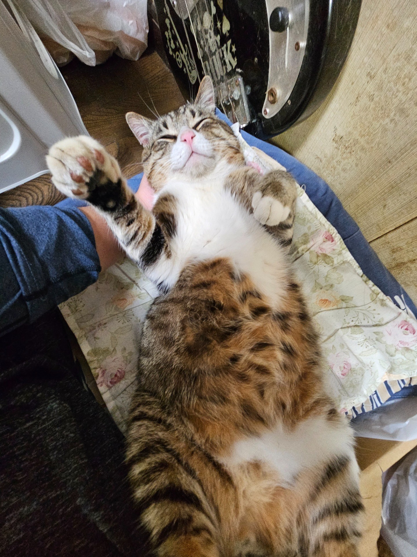 おやすみ眠れ