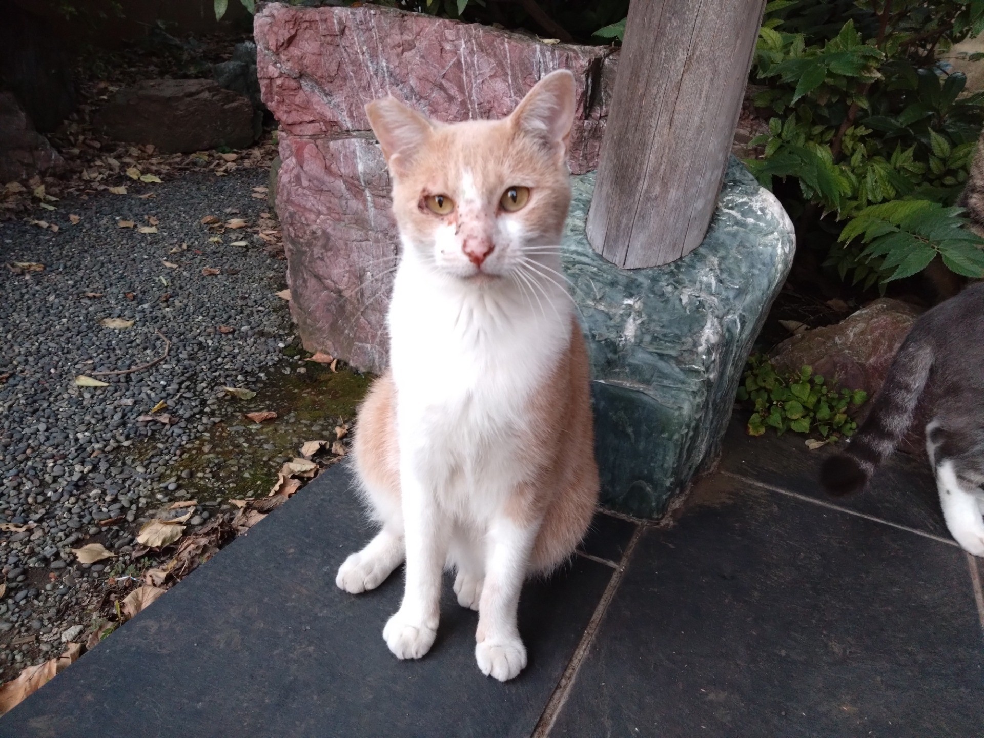 出会ってくれてありがとう