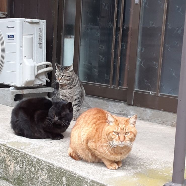 おはぎ3人衆