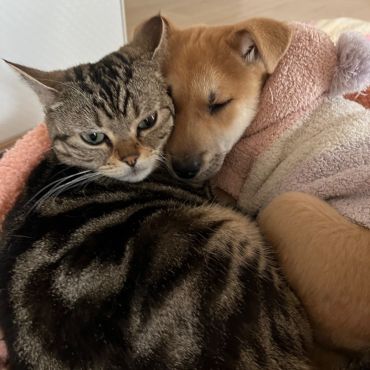 2人だとあったかいね