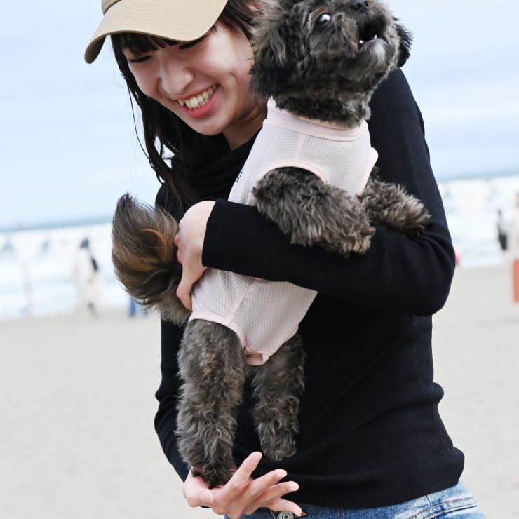 私の愛犬