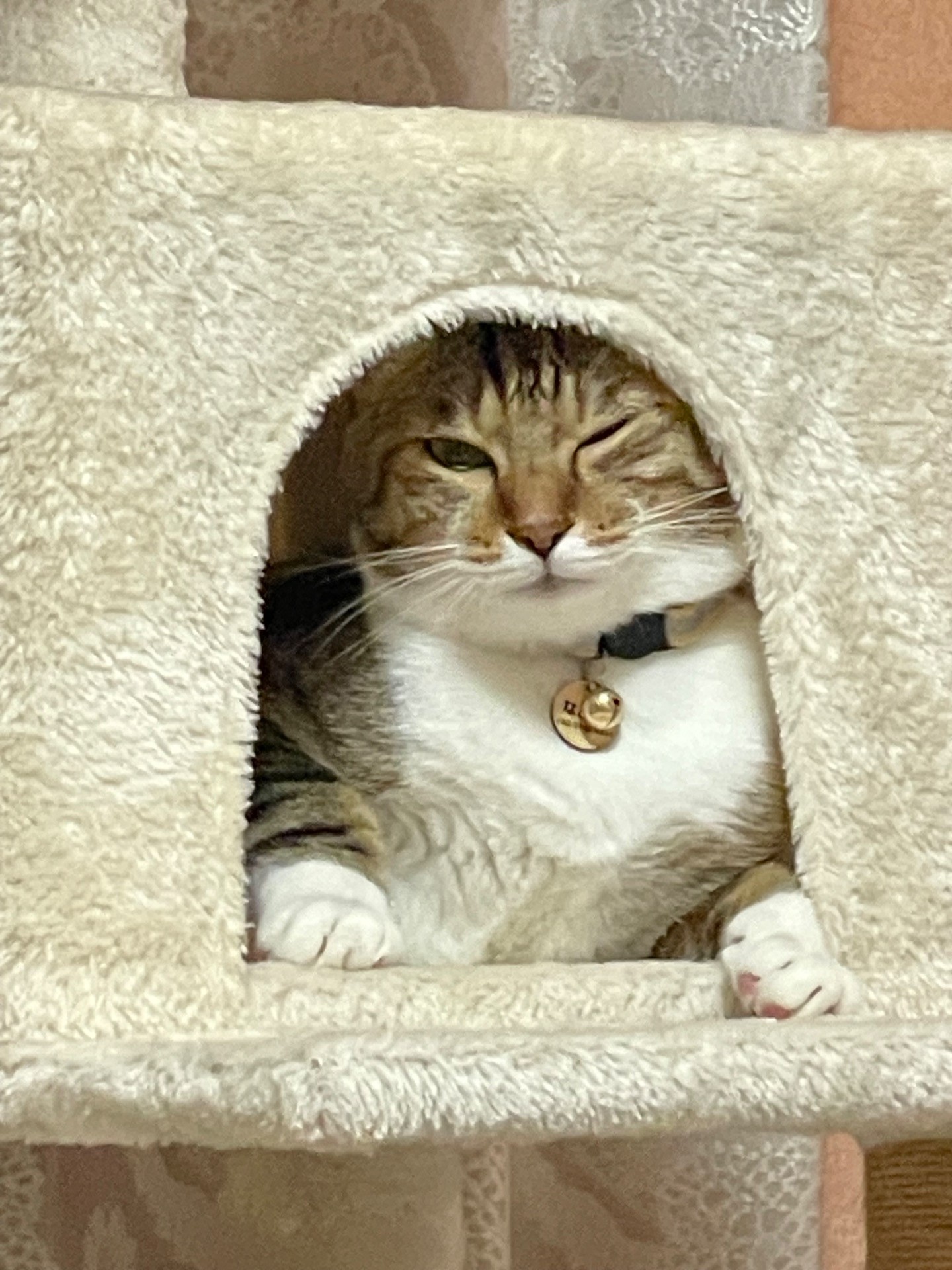 ウインクしてみた