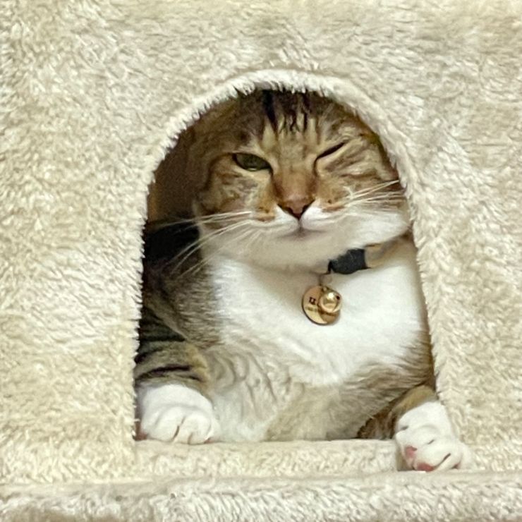 ウインクしてみた