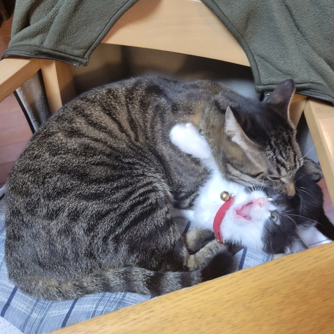 ぺろぺろ攻撃