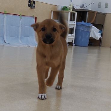 一緒に遊ぼ！