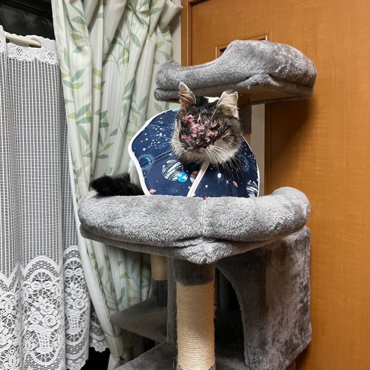 奏さん！元気ですか。