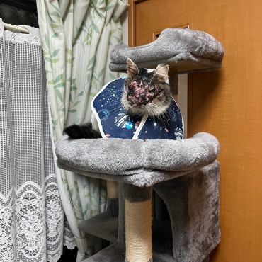 奏さん！元気ですか。