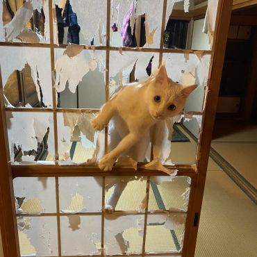 何か用っすか？今忙しいんっすけど。