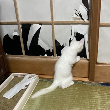 ‼︎