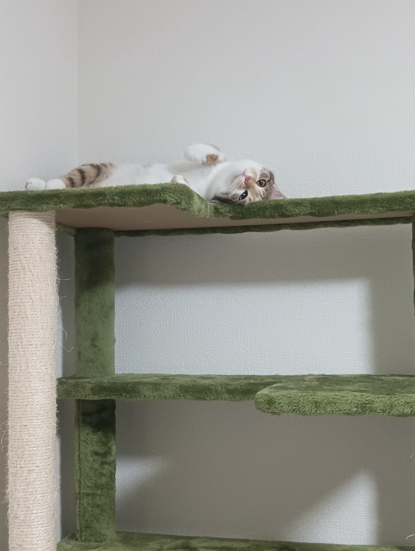のんびり
