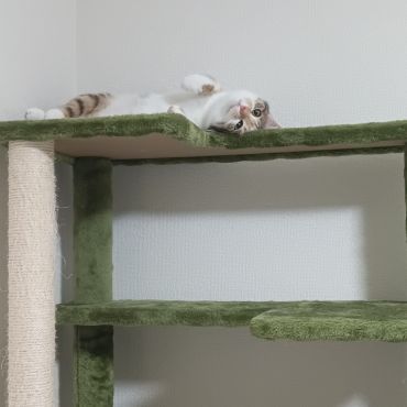 のんびり