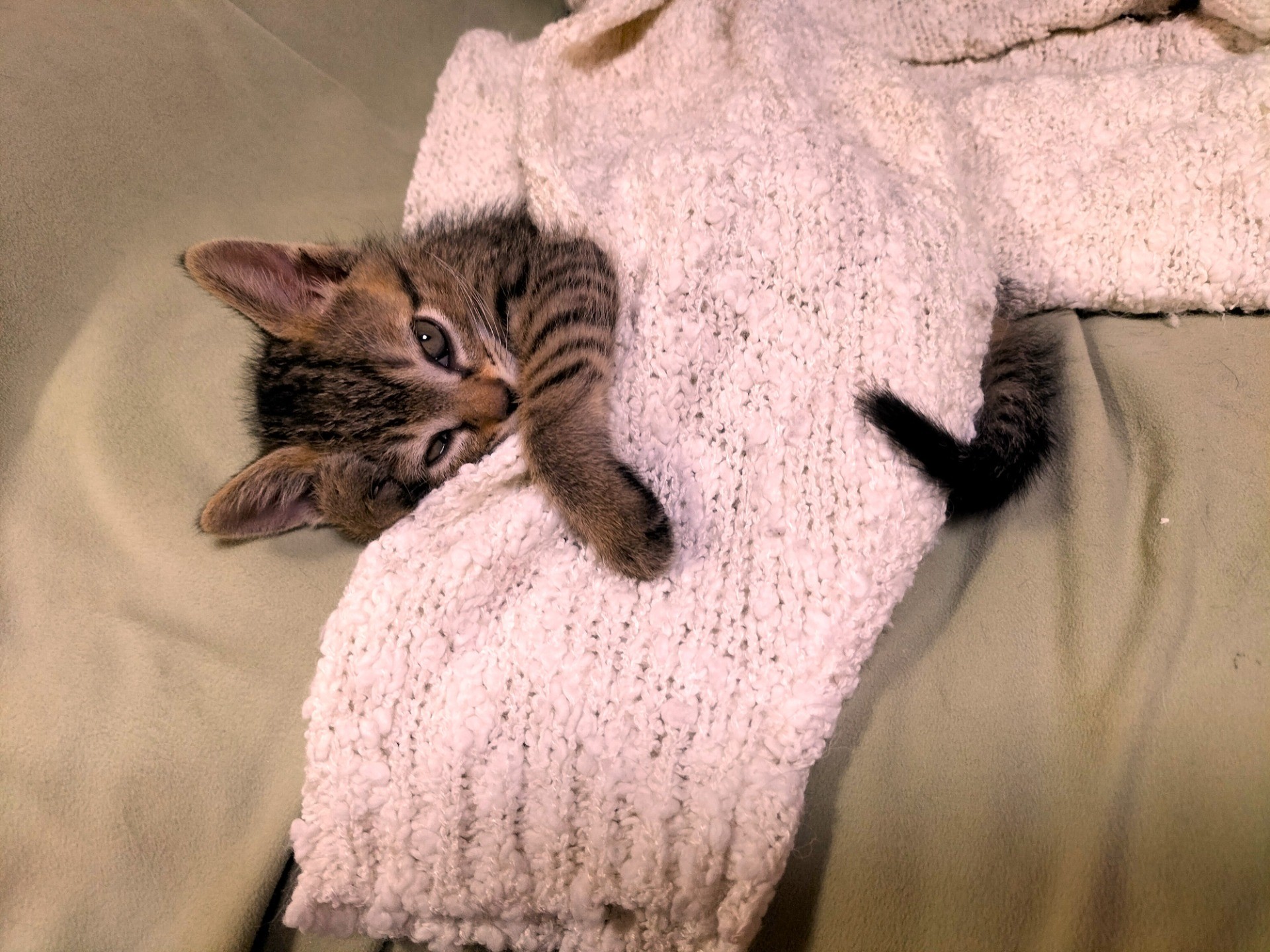 ひとりで眠れるにゃんんん！