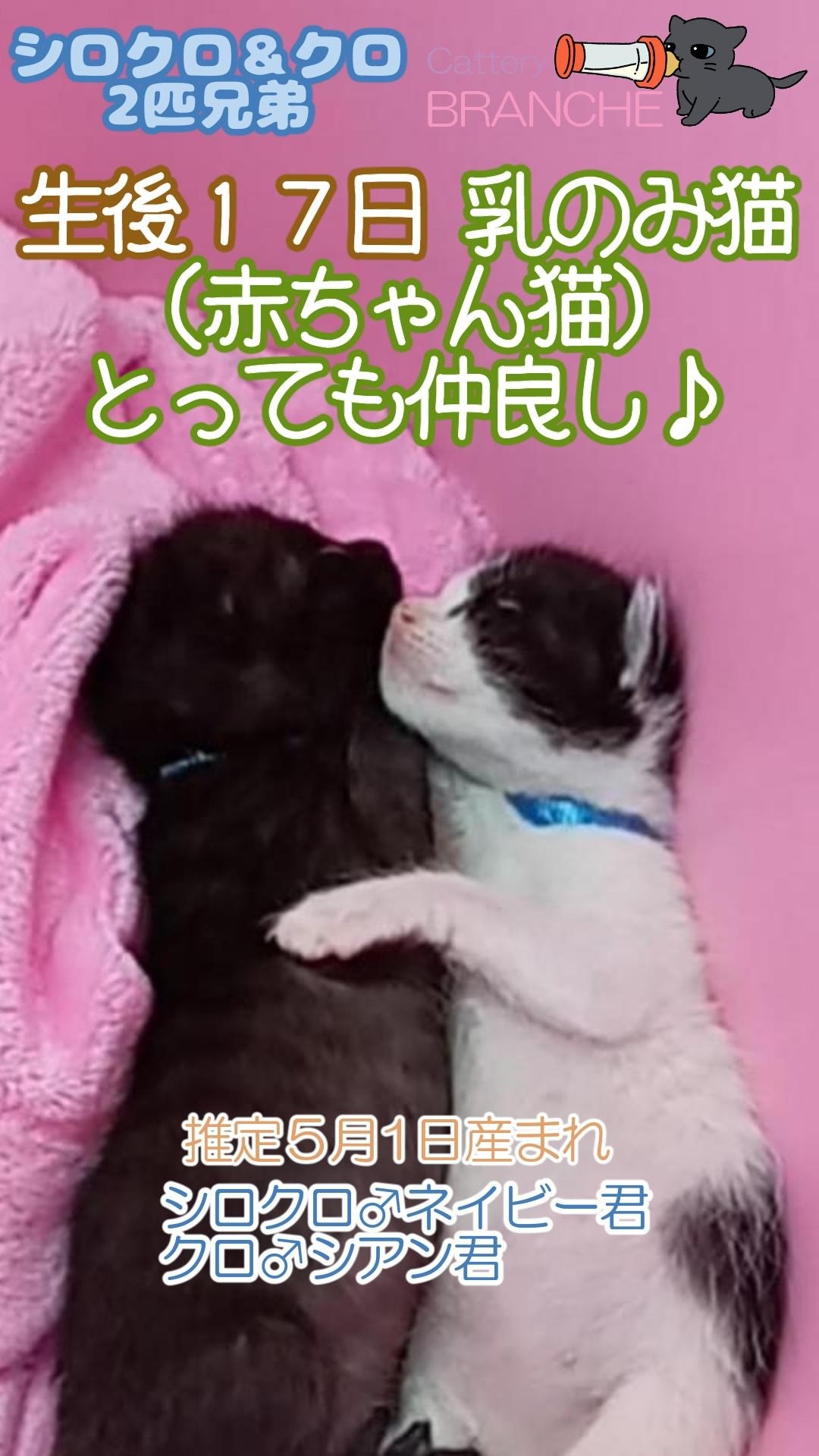 仲良し兄弟