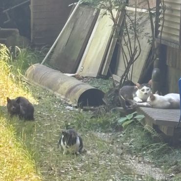 みんな集合！