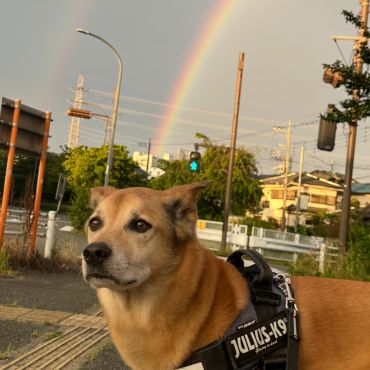 幸せのダブルレインボー