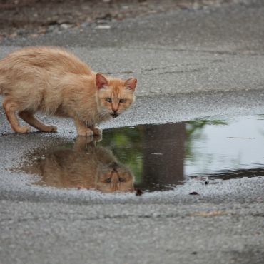 雨水だって大切！