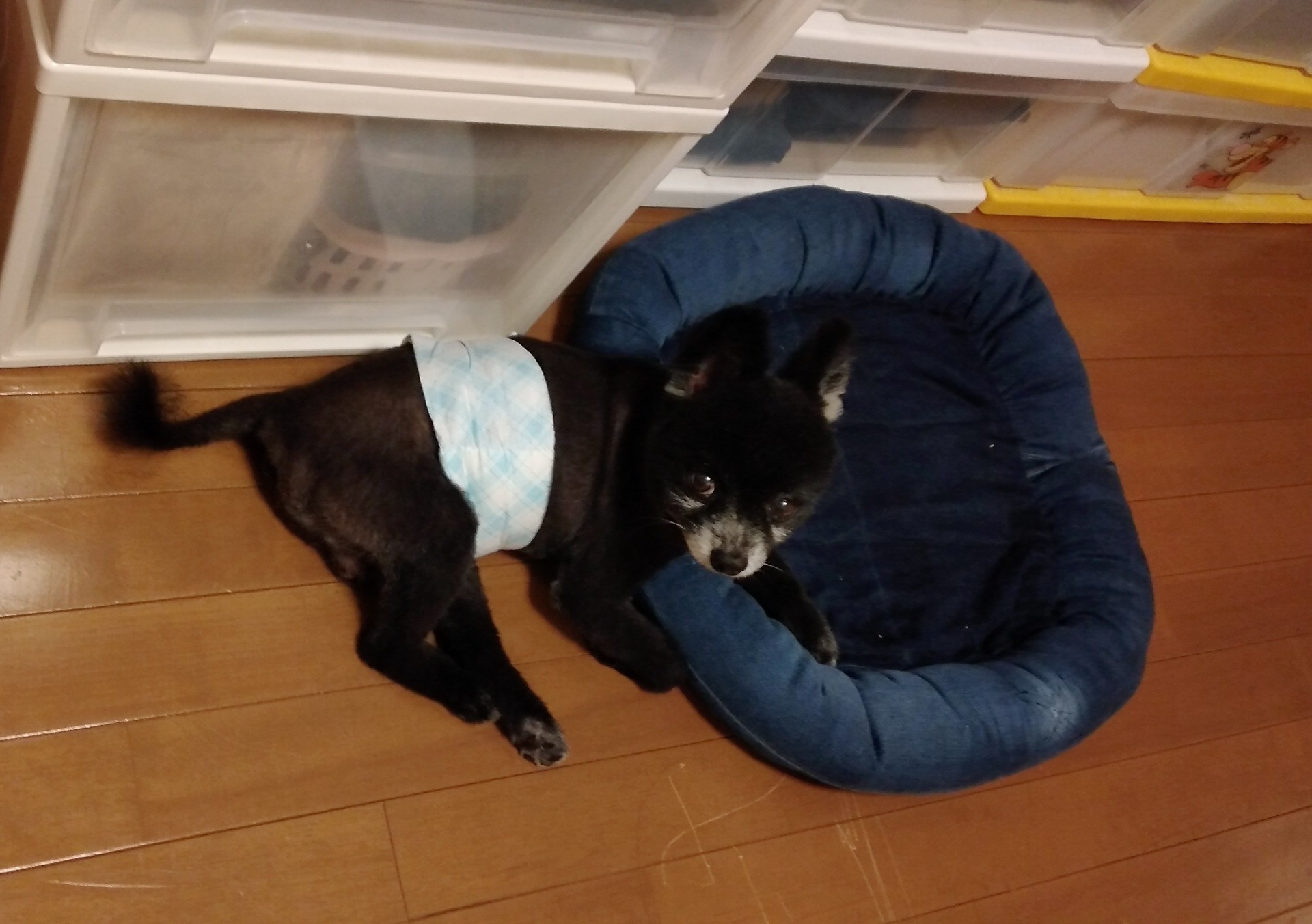 絶対に幸せになる！