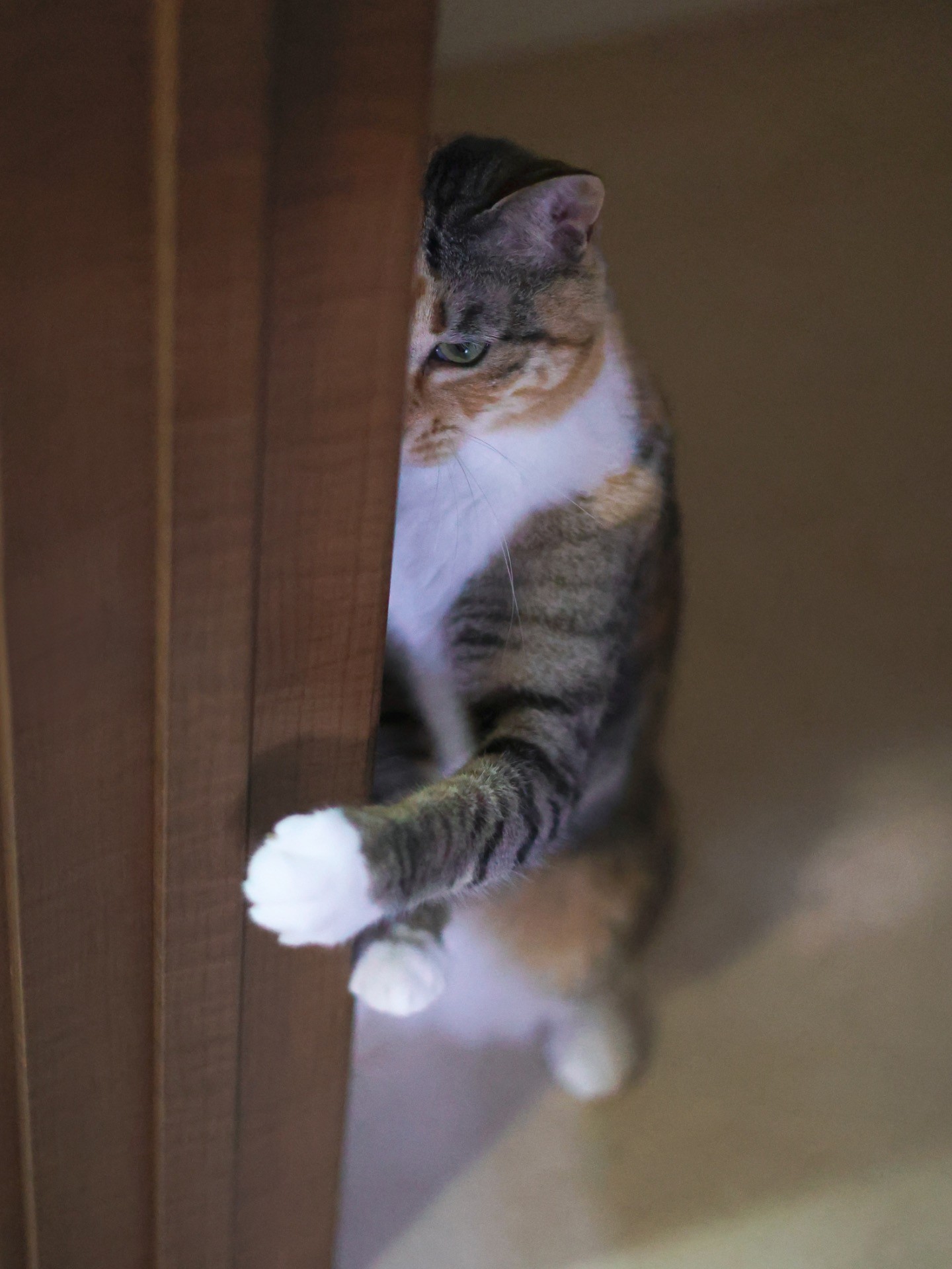 あいつ勝手におやつ食べてるやん