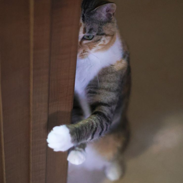 あいつ勝手におやつ食べてるやん