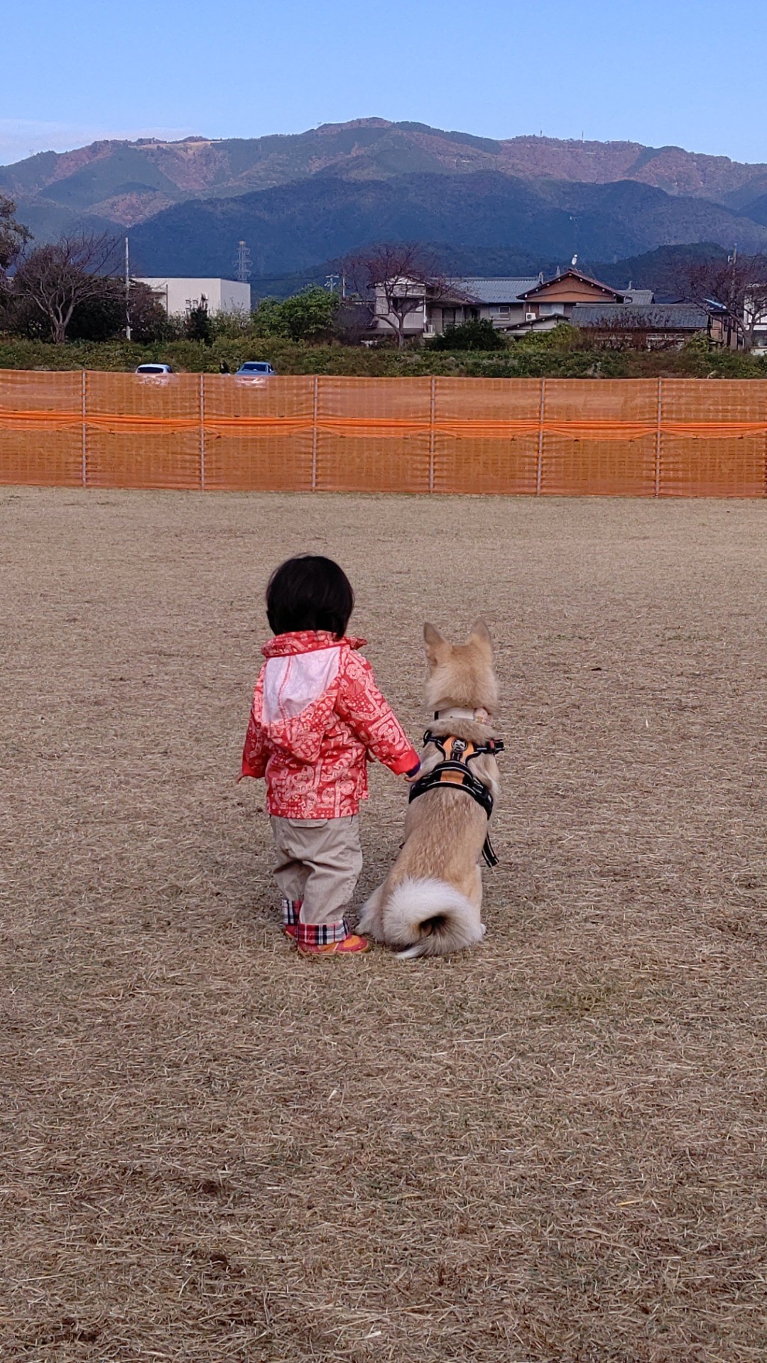 本当の姉妹だよ