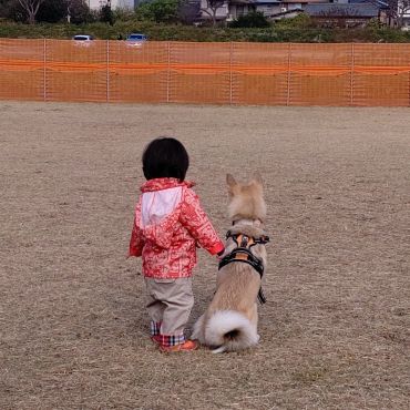 本当の姉妹だよ