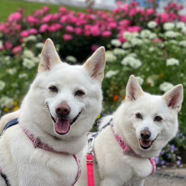 薔薇にも負けない笑顔でパチリ！