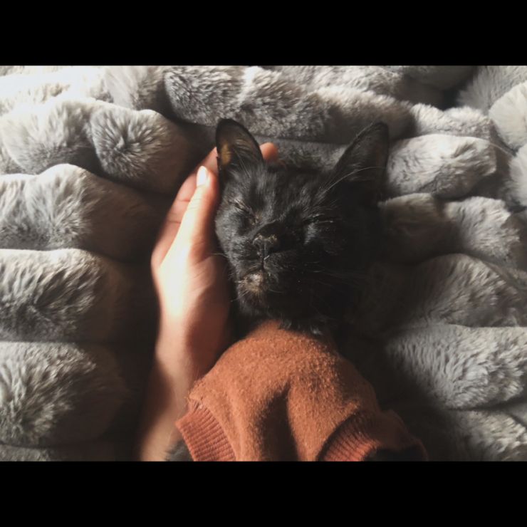 いつまでも赤ちゃん