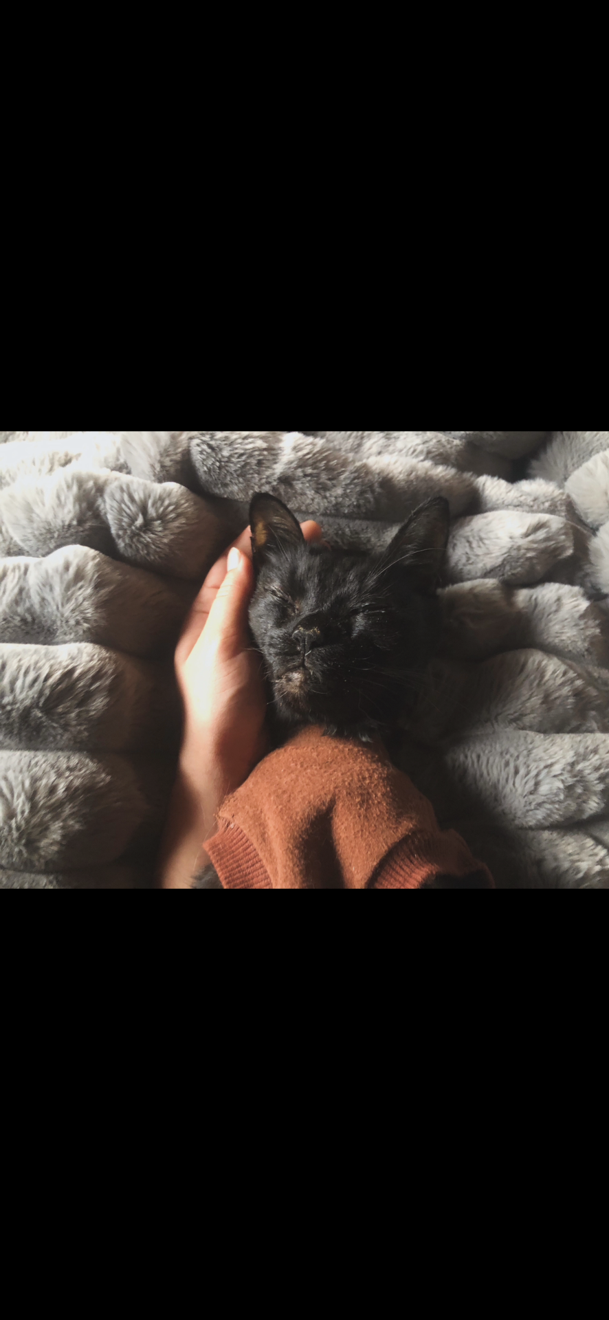 いつまでも赤ちゃん