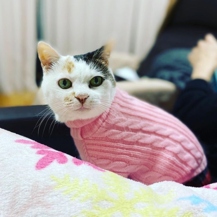 寒い冬はお家の中