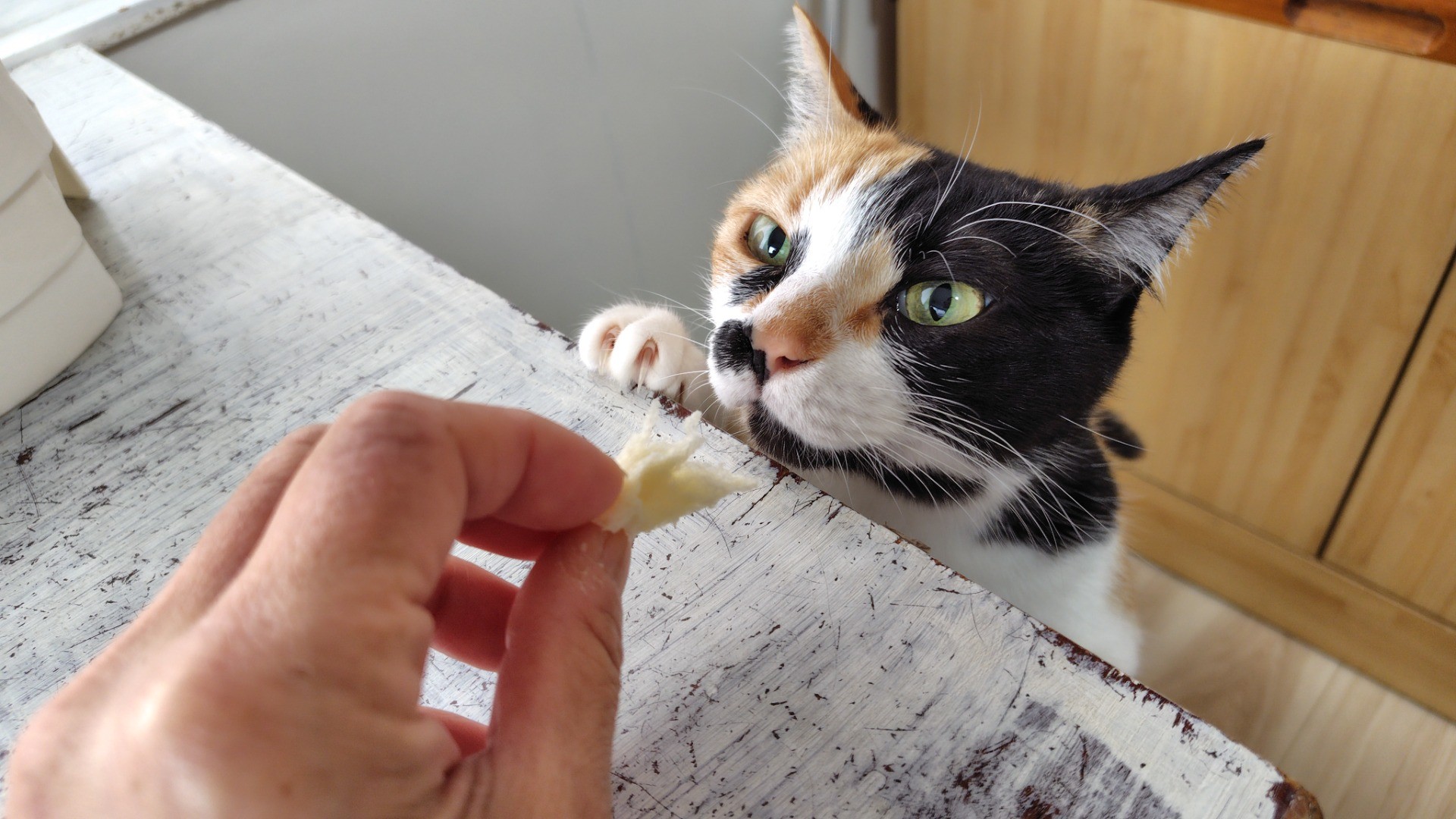 ちょっとちょうだい♪