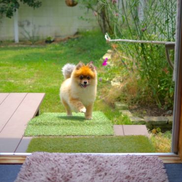 今日もできたっ！