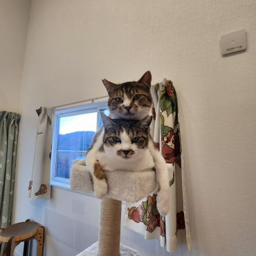 ちょっと重たいんですけど！