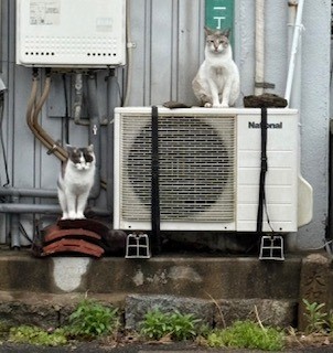 おかえりなさい