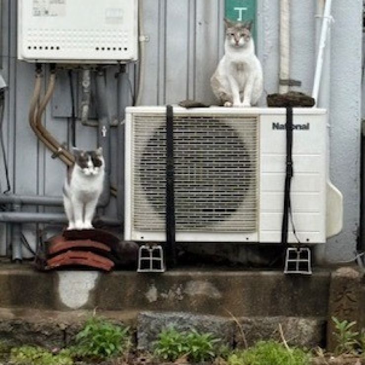 おかえりなさい