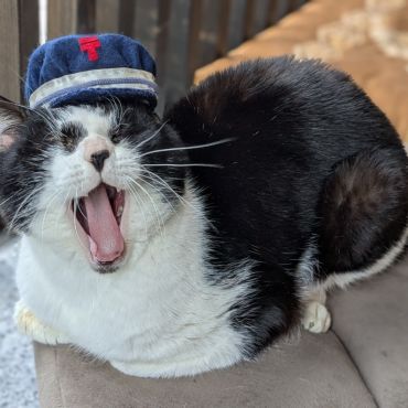 ひまにゃ🐾