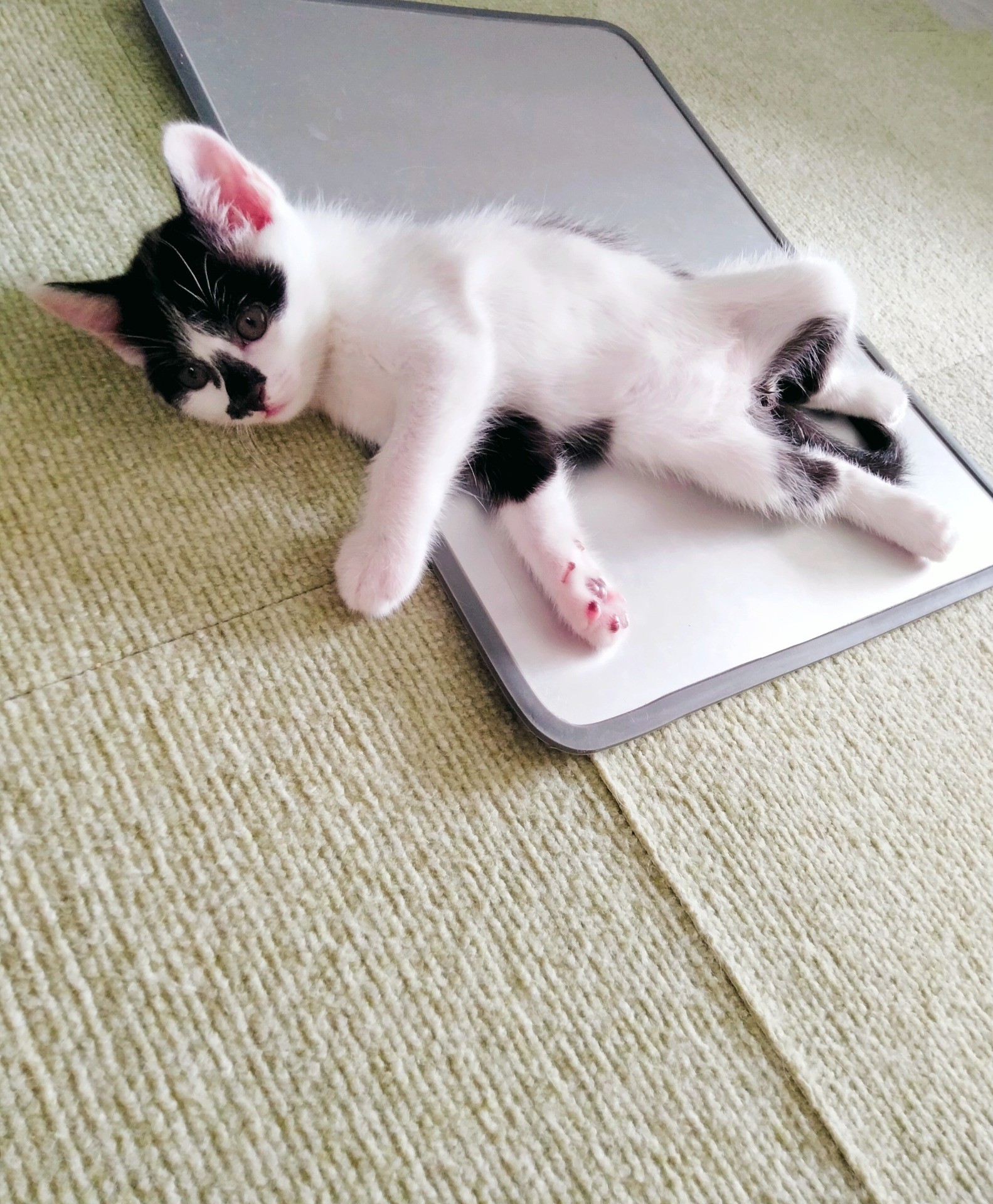 初めての経験…！