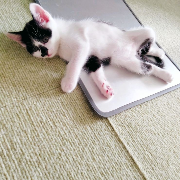 初めての経験…！