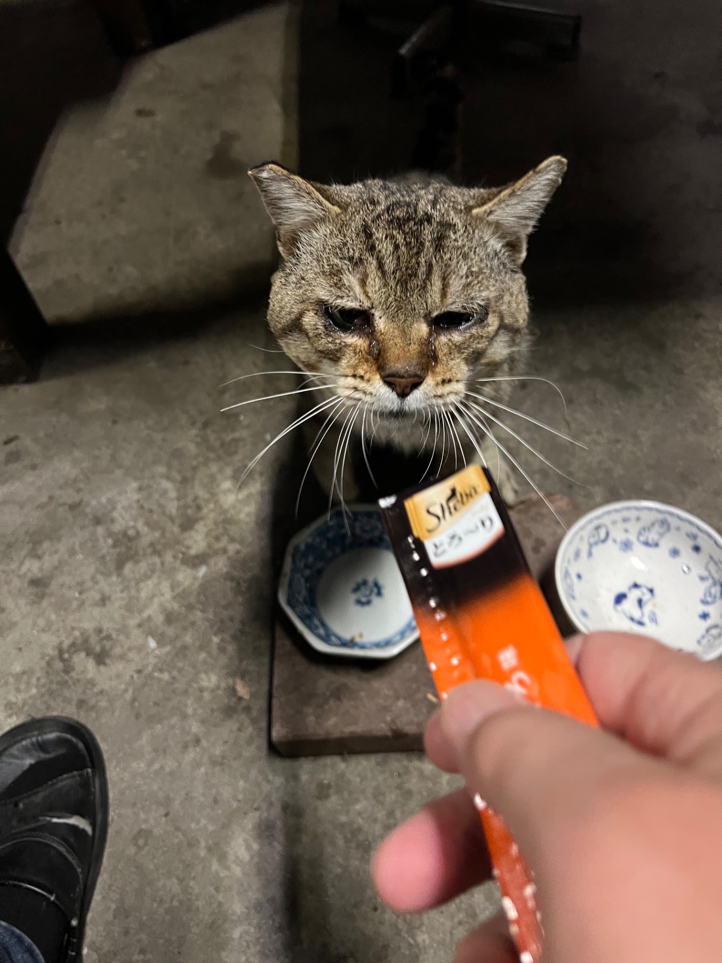 食べていい？